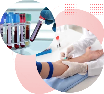 azmayesh ghestigasht