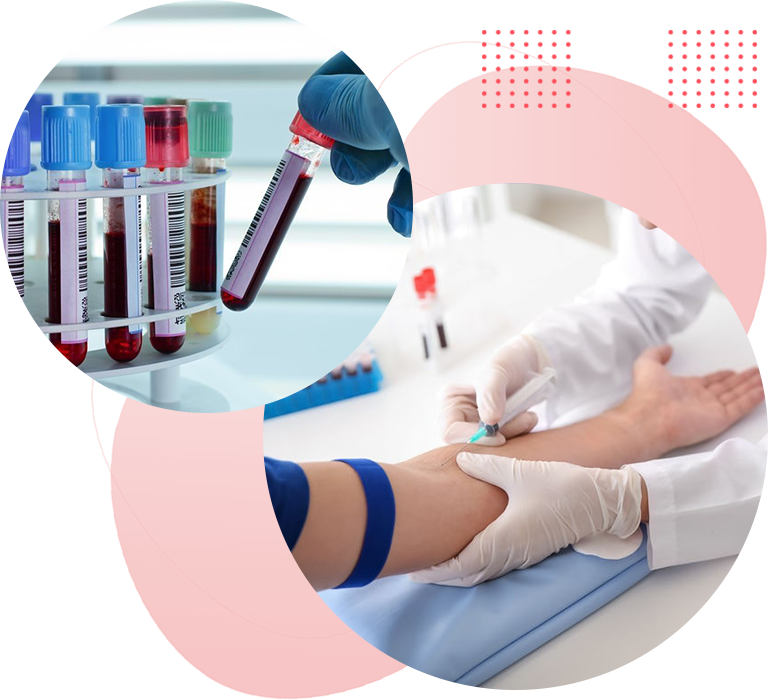 azmayesh ghestigasht