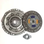 dickosafheghestigasht2405