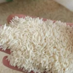 طارمی قسطی گشت2