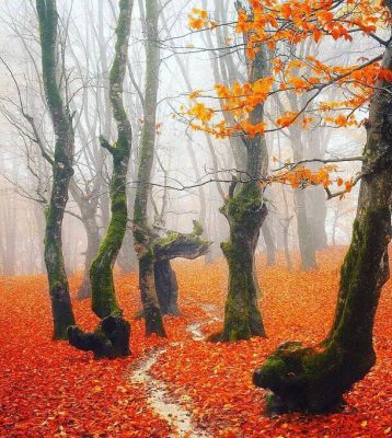 تورهای اقساطی قسطی گشت